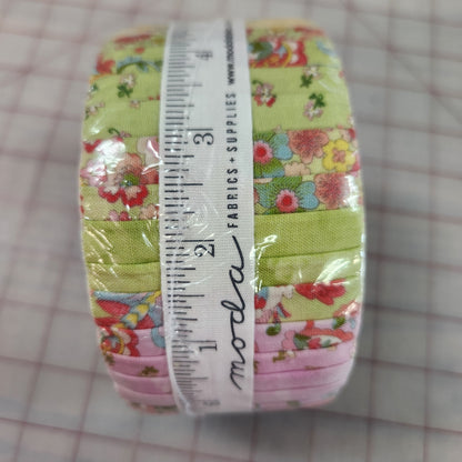 Coco, Moda Jelly Roll