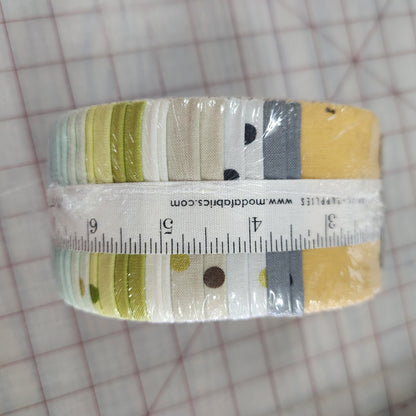 Ombre Confetti, Moda Jelly Roll